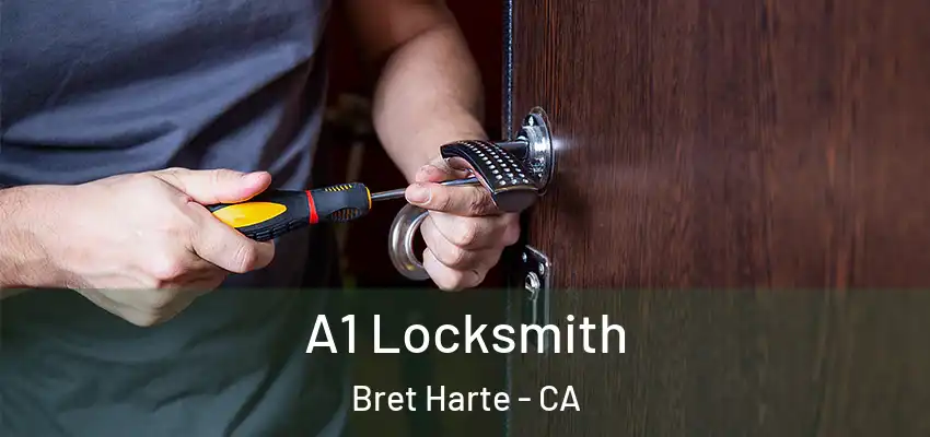  A1 Locksmith Bret Harte - CA