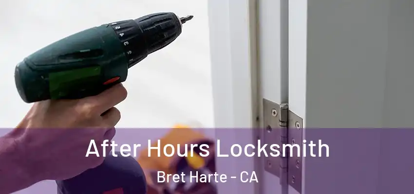  After Hours Locksmith Bret Harte - CA