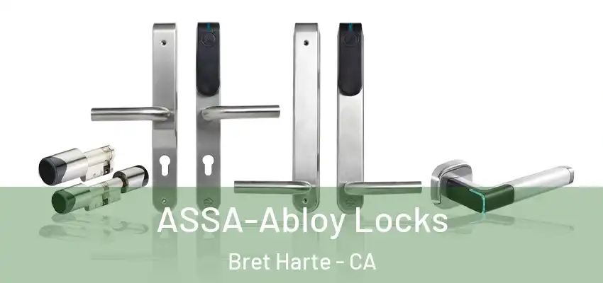  ASSA-Abloy Locks Bret Harte - CA