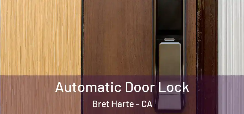  Automatic Door Lock Bret Harte - CA