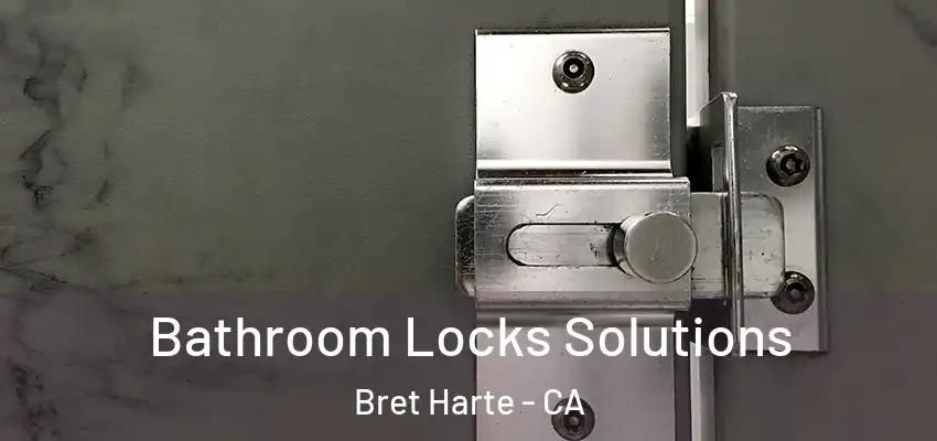  Bathroom Locks Solutions Bret Harte - CA