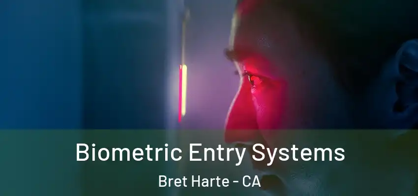  Biometric Entry Systems Bret Harte - CA