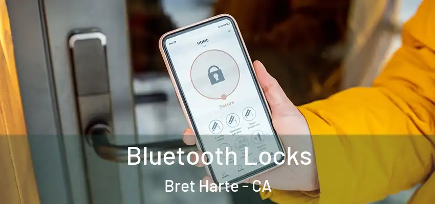  Bluetooth Locks Bret Harte - CA