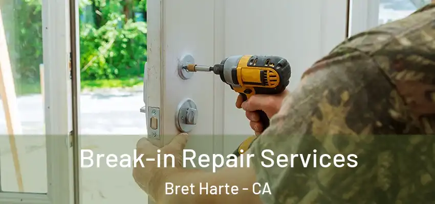  Break-in Repair Services Bret Harte - CA