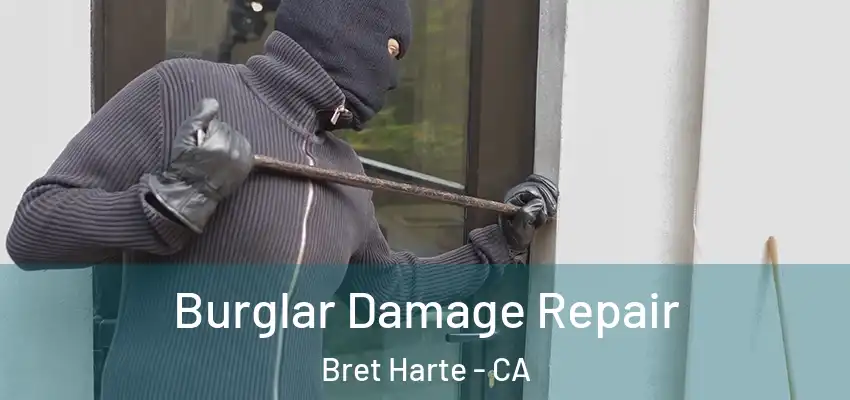  Burglar Damage Repair Bret Harte - CA