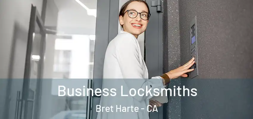  Business Locksmiths Bret Harte - CA