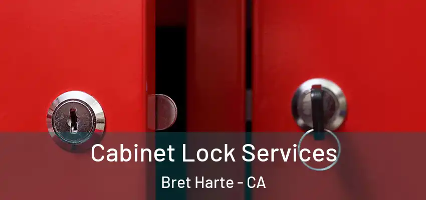  Cabinet Lock Services Bret Harte - CA