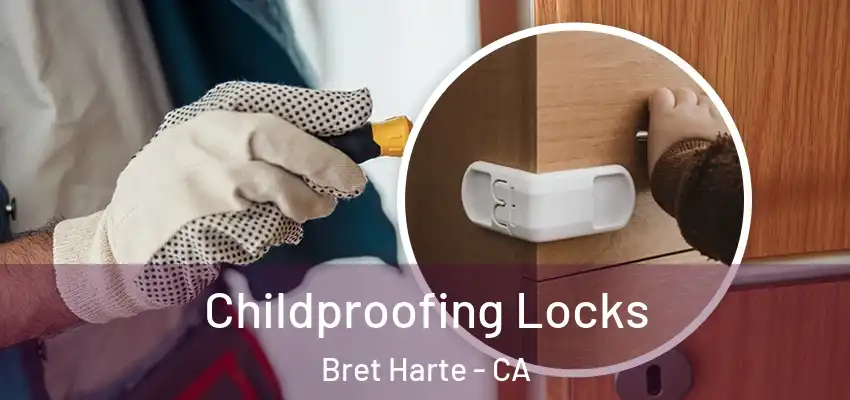  Childproofing Locks Bret Harte - CA