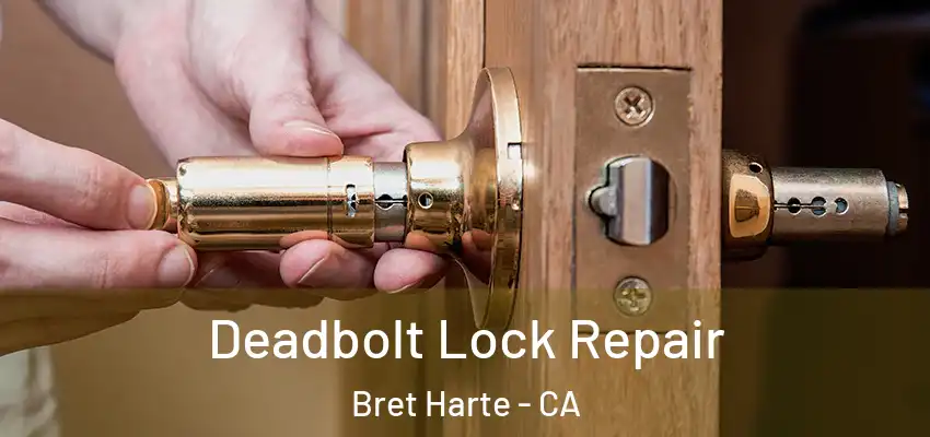  Deadbolt Lock Repair Bret Harte - CA