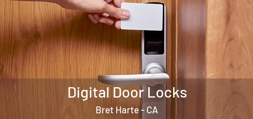  Digital Door Locks Bret Harte - CA