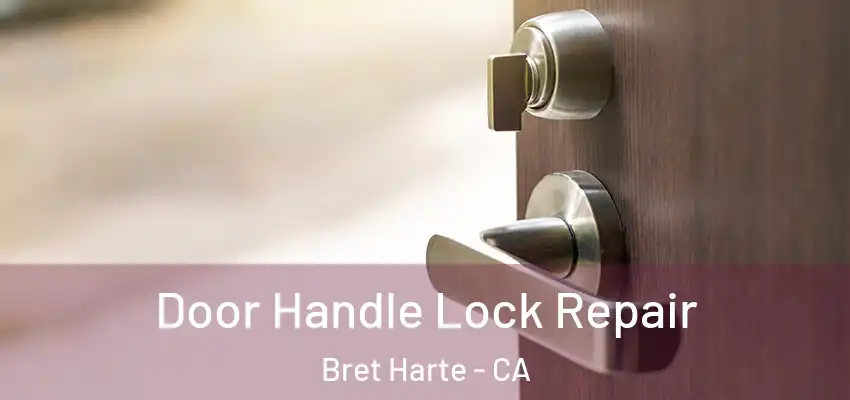  Door Handle Lock Repair Bret Harte - CA