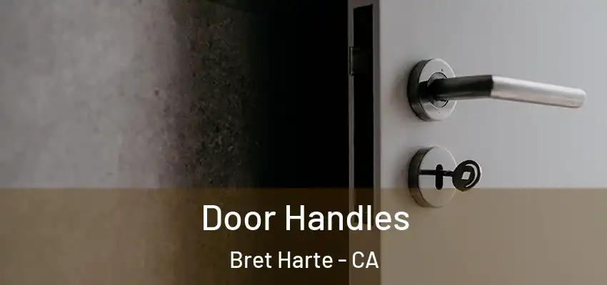 Door Handles Bret Harte - CA