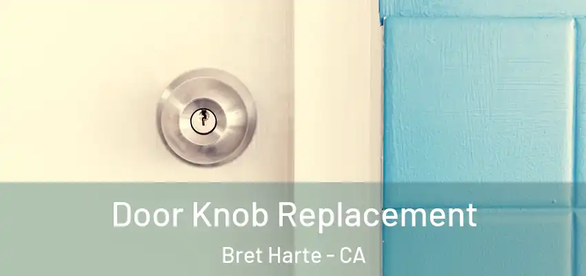  Door Knob Replacement Bret Harte - CA