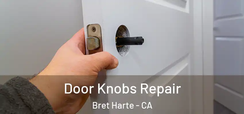  Door Knobs Repair Bret Harte - CA
