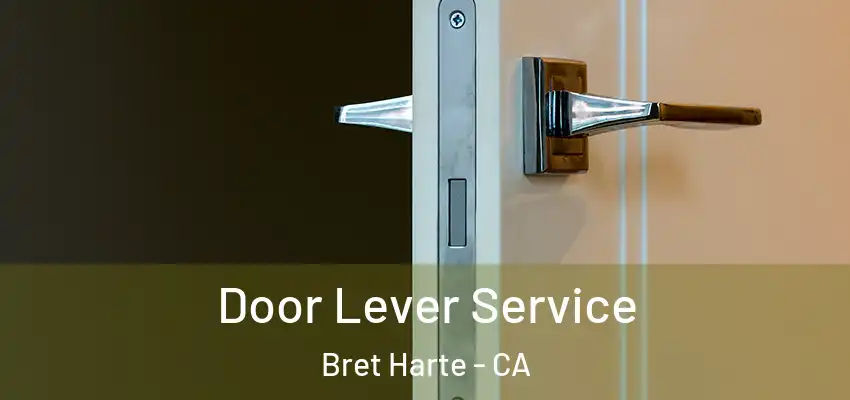  Door Lever Service Bret Harte - CA