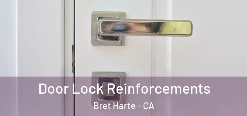  Door Lock Reinforcements Bret Harte - CA