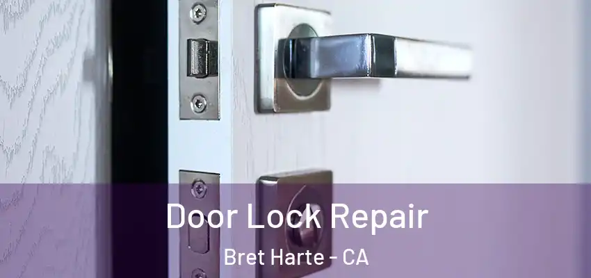  Door Lock Repair Bret Harte - CA