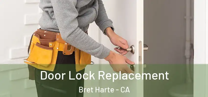  Door Lock Replacement Bret Harte - CA