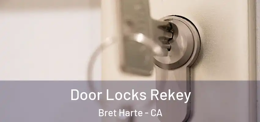  Door Locks Rekey Bret Harte - CA