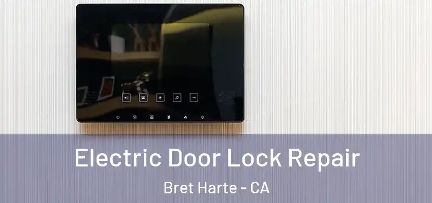  Electric Door Lock Repair Bret Harte - CA