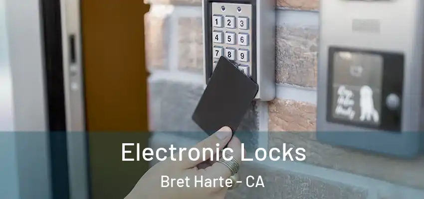  Electronic Locks Bret Harte - CA