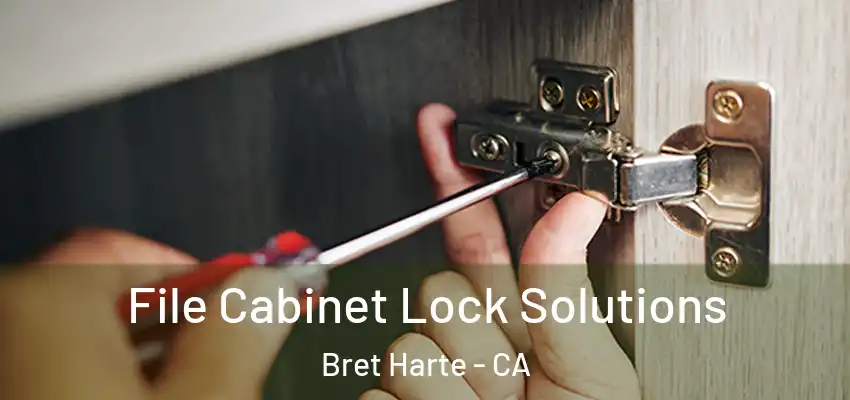  File Cabinet Lock Solutions Bret Harte - CA