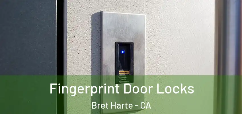  Fingerprint Door Locks Bret Harte - CA