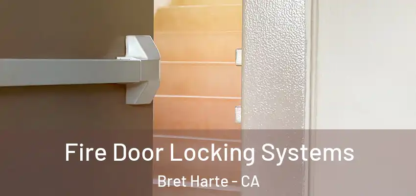 Fire Door Locking Systems Bret Harte - CA
