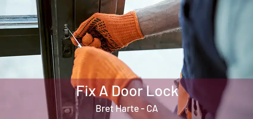  Fix A Door Lock Bret Harte - CA