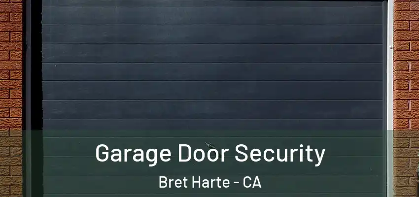  Garage Door Security Bret Harte - CA