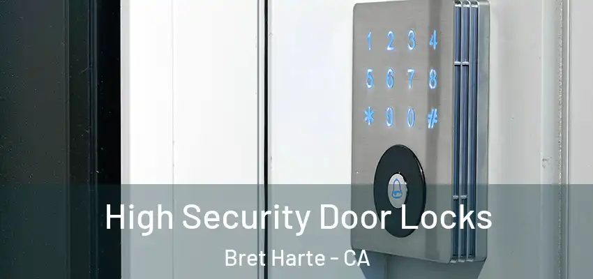  High Security Door Locks Bret Harte - CA