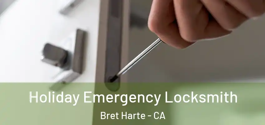  Holiday Emergency Locksmith Bret Harte - CA