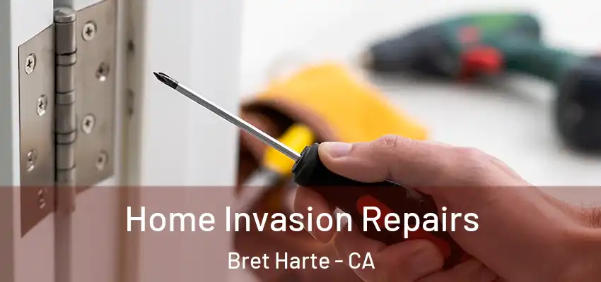  Home Invasion Repairs Bret Harte - CA