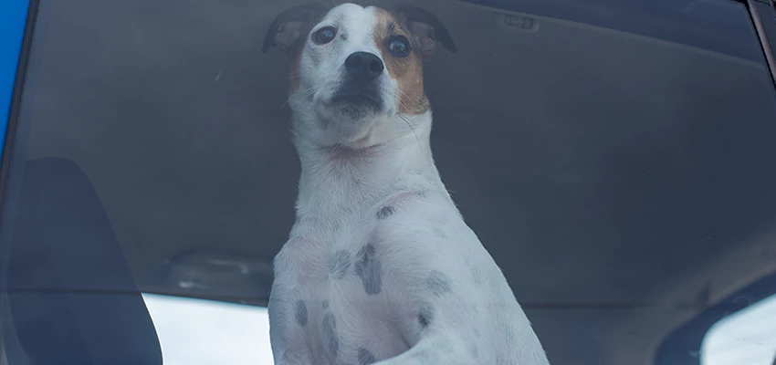 Car Lockout Solutions in Bret Harte, California