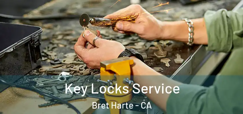  Key Locks Service Bret Harte - CA