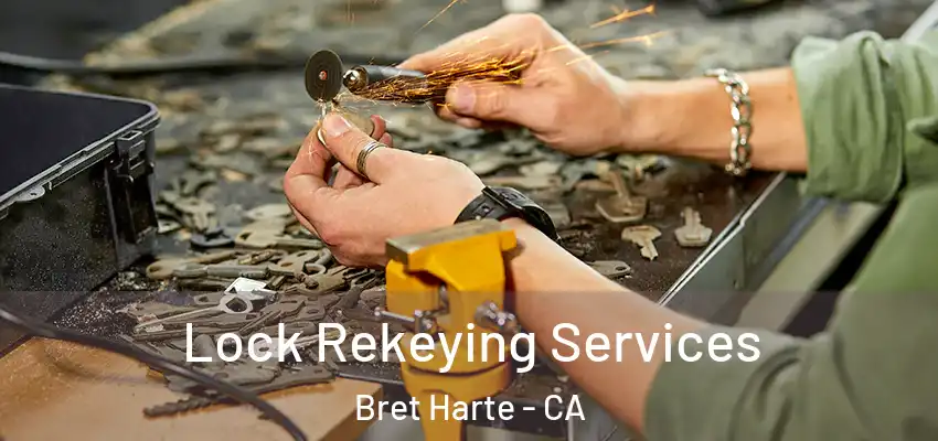  Lock Rekeying Services Bret Harte - CA