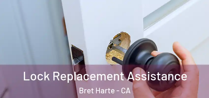  Lock Replacement Assistance Bret Harte - CA