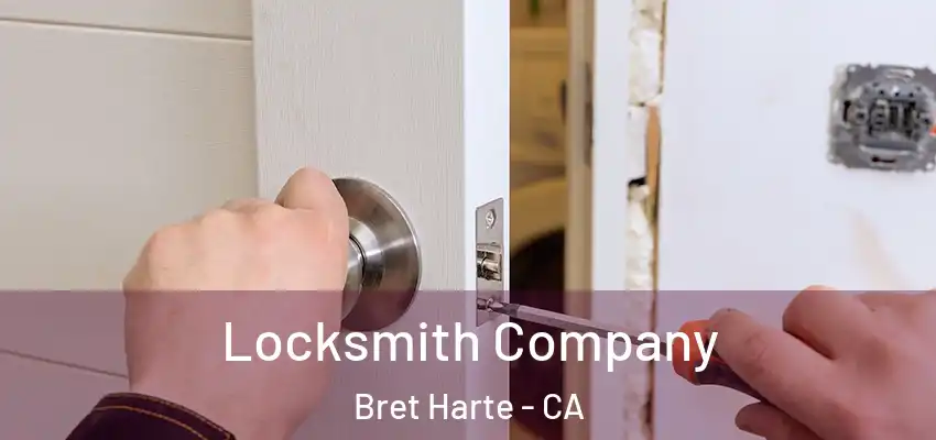  Locksmith Company Bret Harte - CA