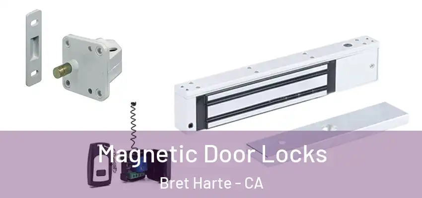  Magnetic Door Locks Bret Harte - CA