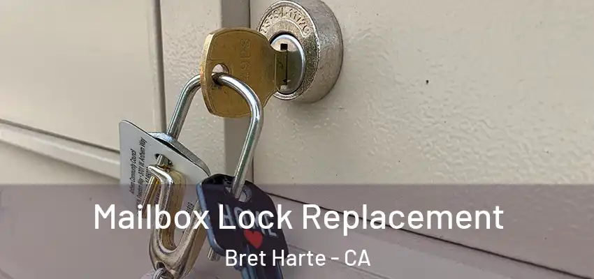  Mailbox Lock Replacement Bret Harte - CA
