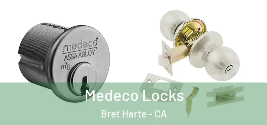  Medeco Locks Bret Harte - CA