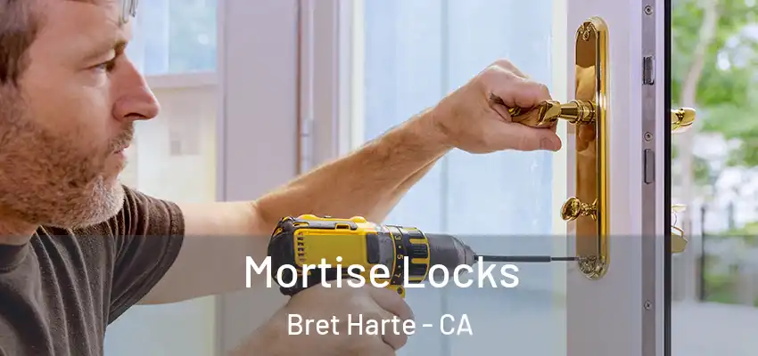  Mortise Locks Bret Harte - CA