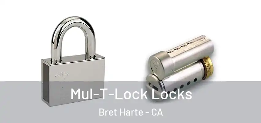  Mul-T-Lock Locks Bret Harte - CA