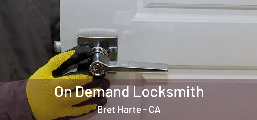  On Demand Locksmith Bret Harte - CA