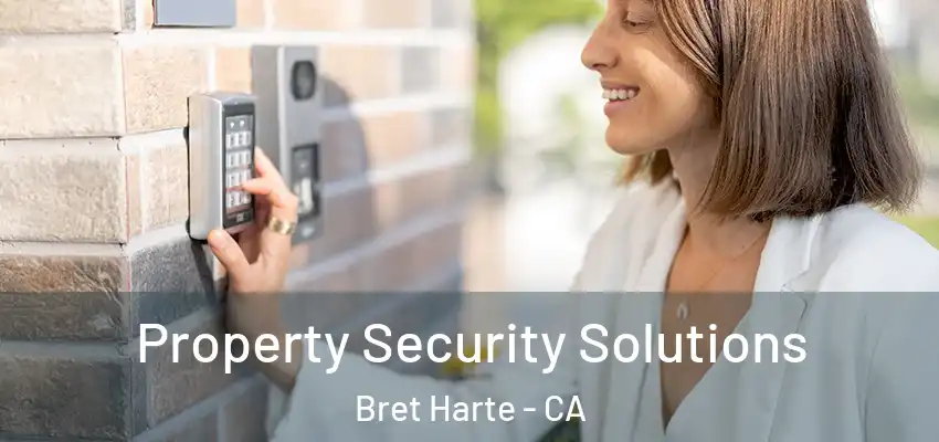  Property Security Solutions Bret Harte - CA