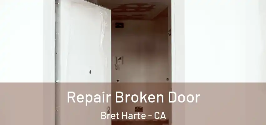  Repair Broken Door Bret Harte - CA