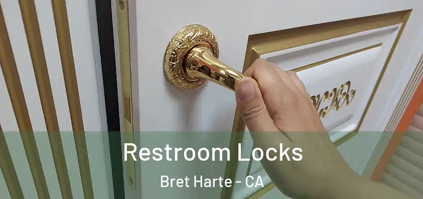  Restroom Locks Bret Harte - CA