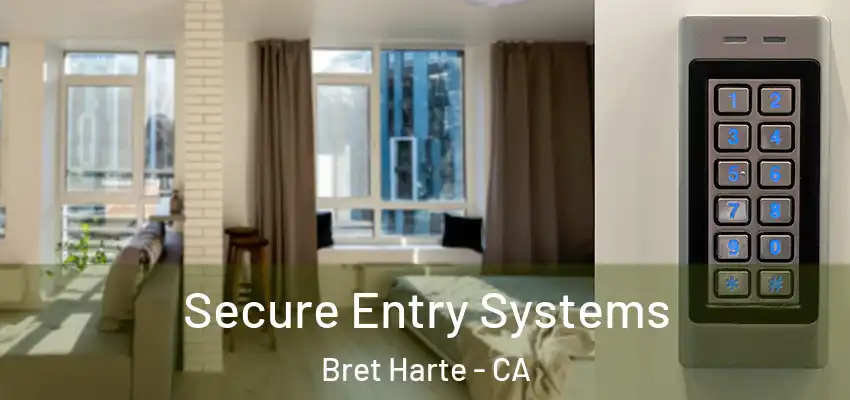  Secure Entry Systems Bret Harte - CA