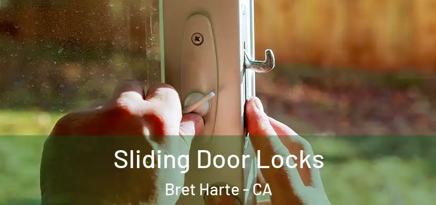  Sliding Door Locks Bret Harte - CA