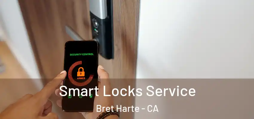  Smart Locks Service Bret Harte - CA